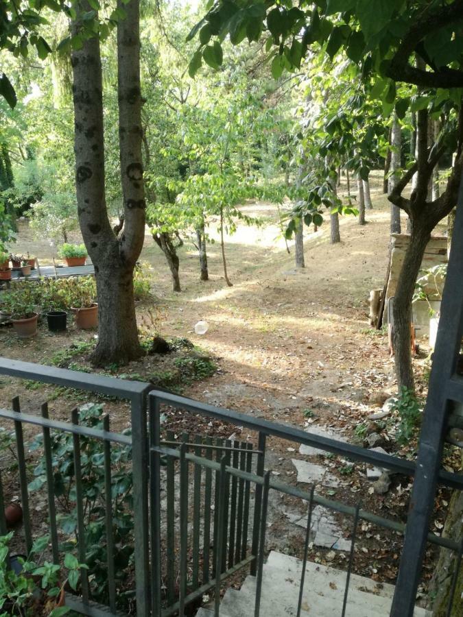 Casa Della Nonna Appartement Radicofani Buitenkant foto